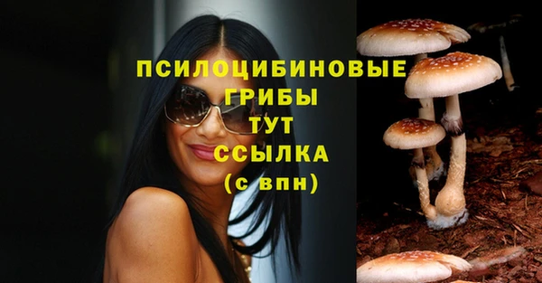 эйфоретик Белоозёрский