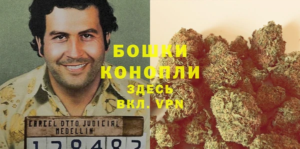 apvp Белокуриха