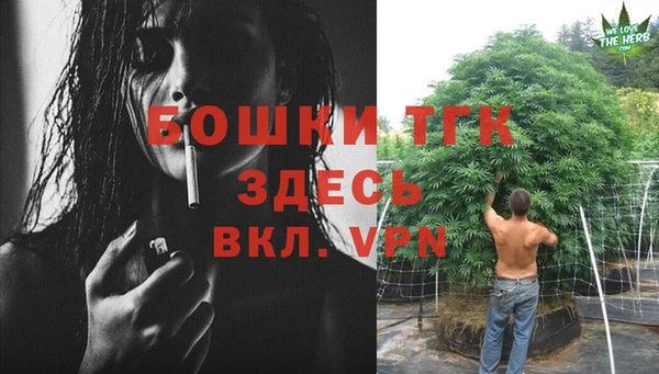 эйфоретик Белоозёрский
